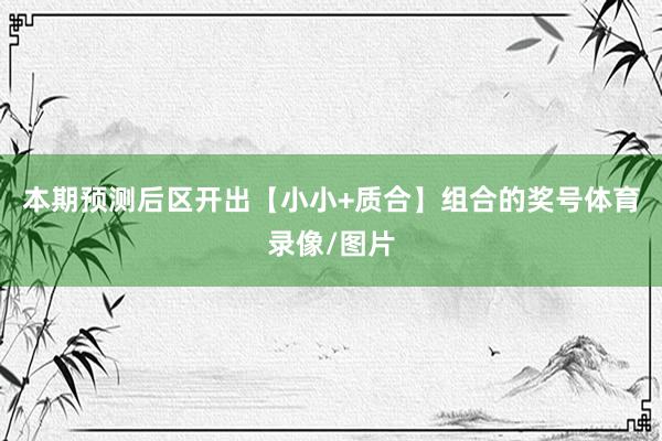 本期预测后区开出【小小+质合】组合的奖号体育录像/图片