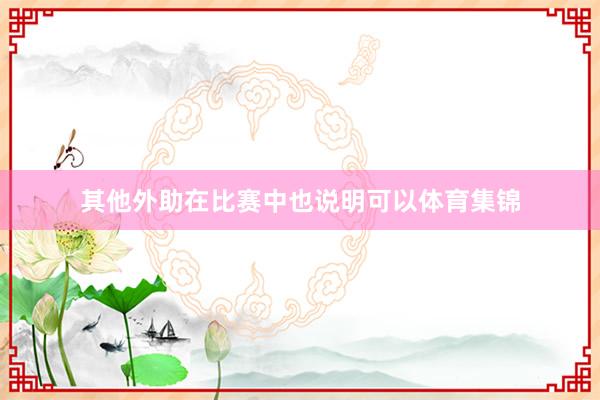 其他外助在比赛中也说明可以体育集锦