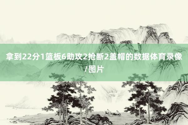 拿到22分1篮板6助攻2抢断2盖帽的数据体育录像/图片