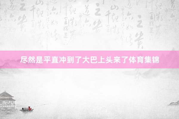 尽然是平直冲到了大巴上头来了体育集锦