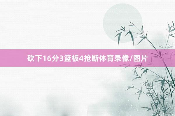砍下16分3篮板4抢断体育录像/图片