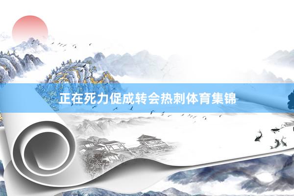 正在死力促成转会热刺体育集锦