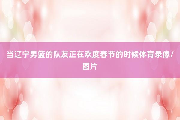 当辽宁男篮的队友正在欢度春节的时候体育录像/图片