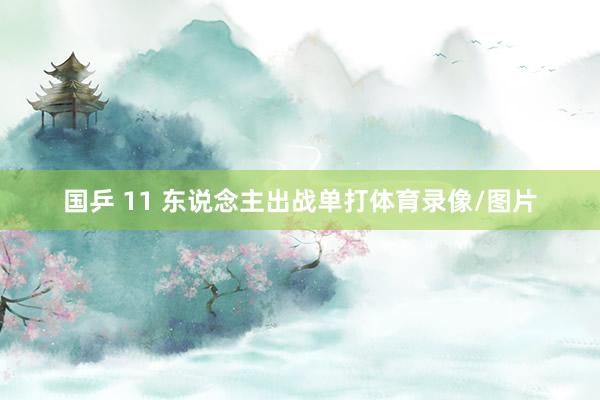 国乒 11 东说念主出战单打体育录像/图片