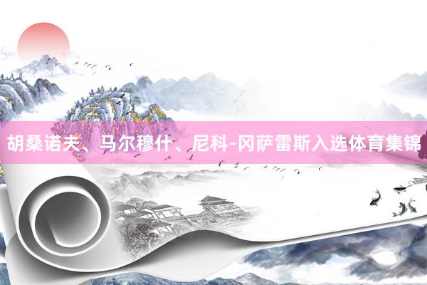 胡桑诺夫、马尔穆什、尼科-冈萨雷斯入选体育集锦