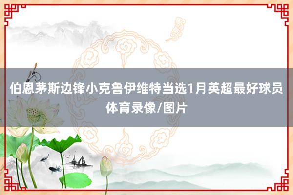 伯恩茅斯边锋小克鲁伊维特当选1月英超最好球员体育录像/图片
