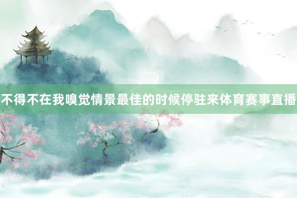 不得不在我嗅觉情景最佳的时候停驻来体育赛事直播