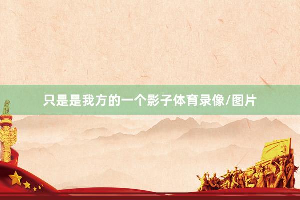 只是是我方的一个影子体育录像/图片