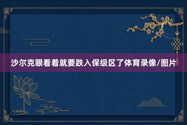 沙尔克眼看着就要跌入保级区了体育录像/图片