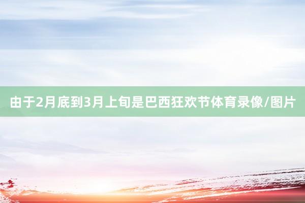 由于2月底到3月上旬是巴西狂欢节体育录像/图片