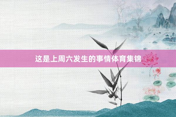 这是上周六发生的事情体育集锦
