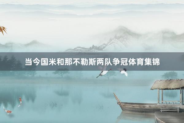 当今国米和那不勒斯两队争冠体育集锦