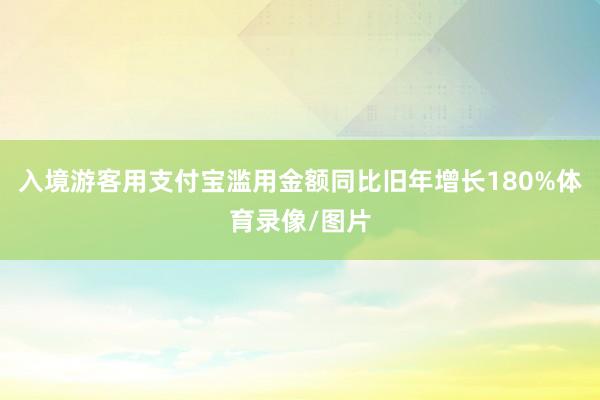 入境游客用支付宝滥用金额同比旧年增长180%体育录像/图片