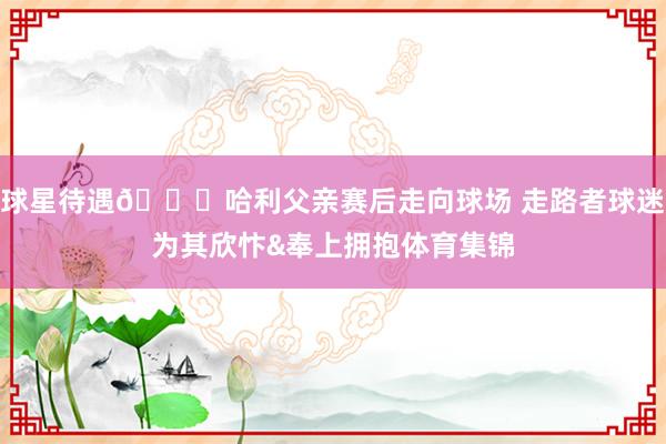 球星待遇😎哈利父亲赛后走向球场 走路者球迷为其欣忭&奉上拥抱体育集锦