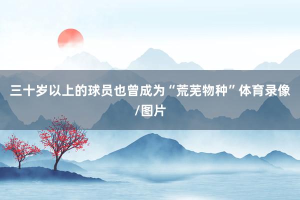 三十岁以上的球员也曾成为“荒芜物种”体育录像/图片