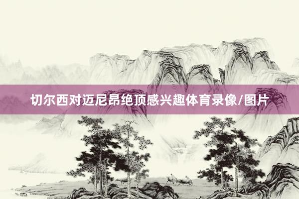 切尔西对迈尼昂绝顶感兴趣体育录像/图片
