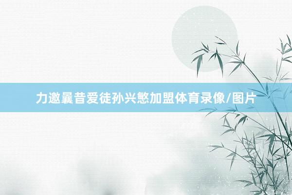 力邀曩昔爱徒孙兴慜加盟体育录像/图片