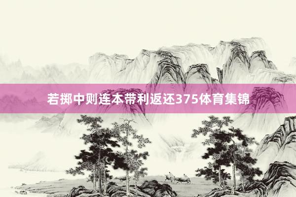若掷中则连本带利返还375体育集锦