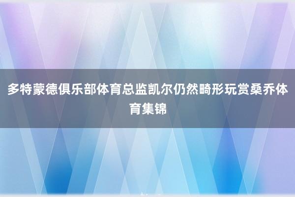 多特蒙德俱乐部体育总监凯尔仍然畸形玩赏桑乔体育集锦