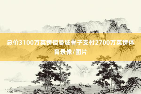 总价3100万英镑但曼城骨子支付2700万英镑体育录像/图片