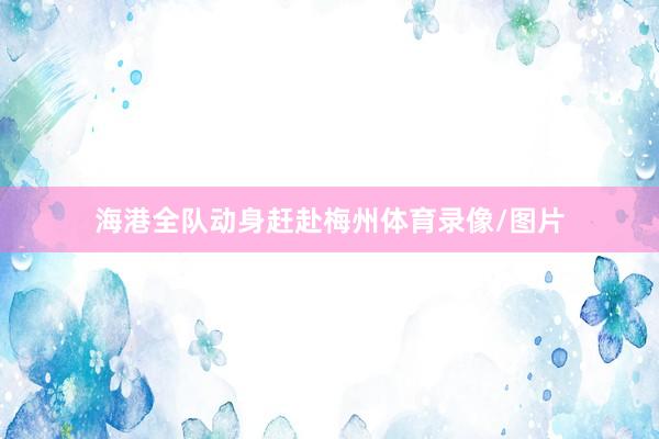 海港全队动身赶赴梅州体育录像/图片