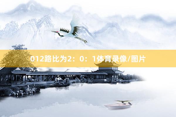 012路比为2：0：1体育录像/图片