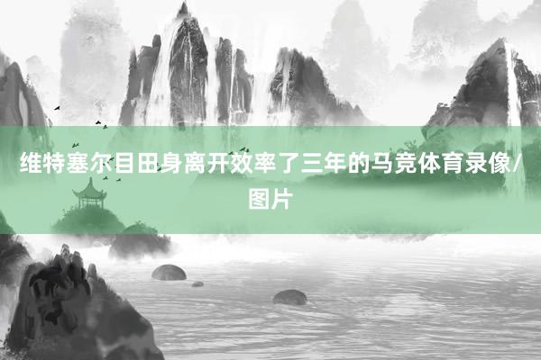 维特塞尔目田身离开效率了三年的马竞体育录像/图片