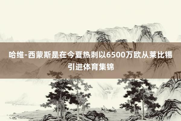 哈维-西蒙斯是在今夏热刺以6500万欧从莱比锡引进体育集锦