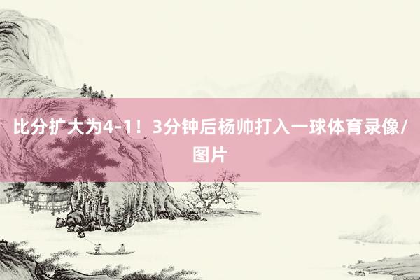 比分扩大为4-1！3分钟后杨帅打入一球体育录像/图片
