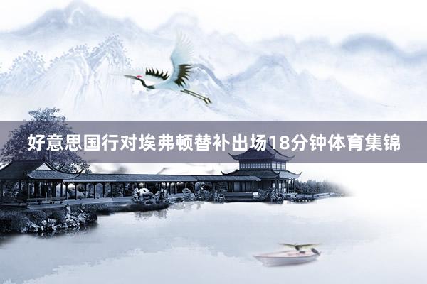 好意思国行对埃弗顿替补出场18分钟体育集锦