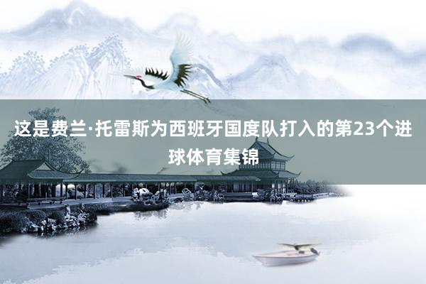 这是费兰·托雷斯为西班牙国度队打入的第23个进球体育集锦