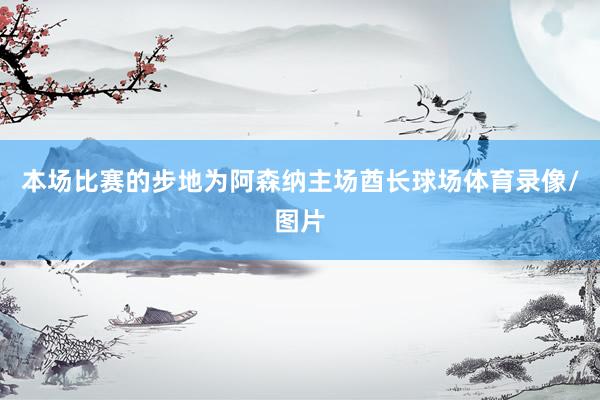 本场比赛的步地为阿森纳主场酋长球场体育录像/图片