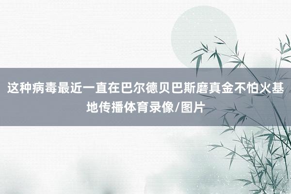 这种病毒最近一直在巴尔德贝巴斯磨真金不怕火基地传播体育录像/图片