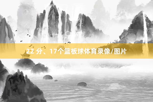 22 分、17个篮板球体育录像/图片