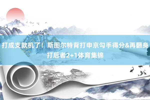 打成支款机了！斯图尔特背打申京勾手得分&再翻身打后者2+1体育集锦
