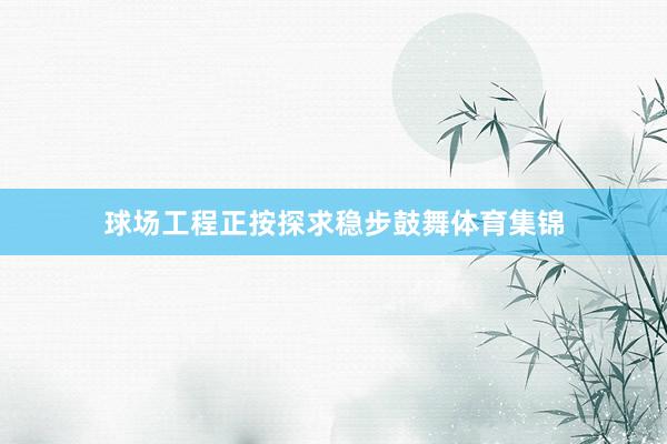球场工程正按探求稳步鼓舞体育集锦