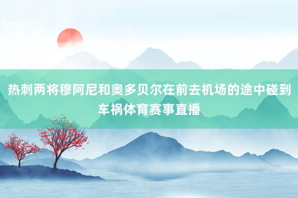 热刺两将穆阿尼和奥多贝尔在前去机场的途中碰到车祸体育赛事直播
