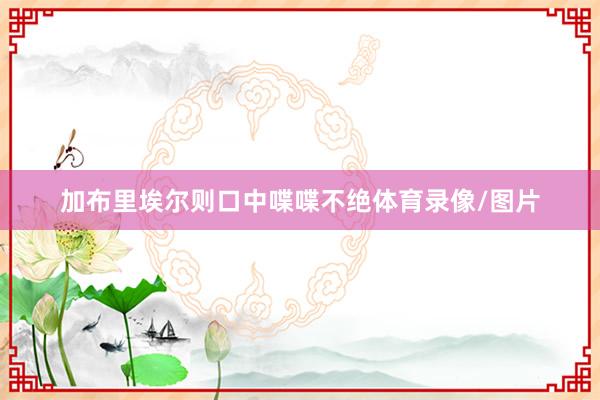 加布里埃尔则口中喋喋不绝体育录像/图片