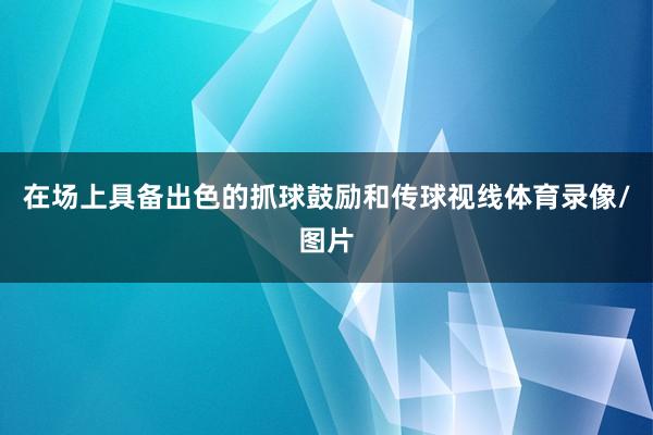 在场上具备出色的抓球鼓励和传球视线体育录像/图片