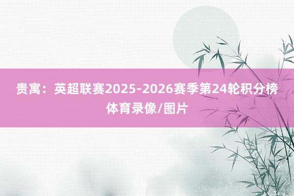 贵寓：英超联赛2025-2026赛季第24轮积分榜体育录像/图片