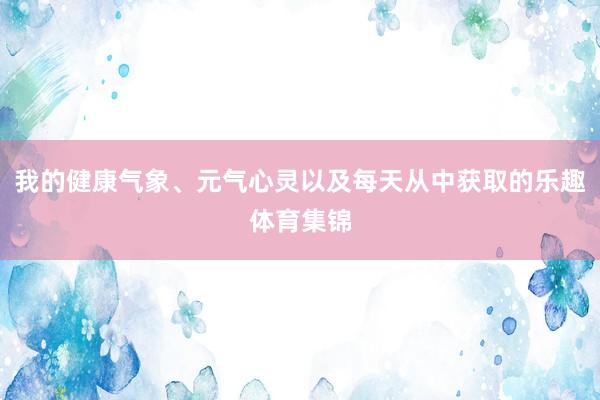 我的健康气象、元气心灵以及每天从中获取的乐趣体育集锦
