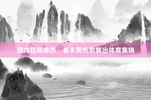 国内包括徐杰、崔永熙伤愈复出体育集锦
