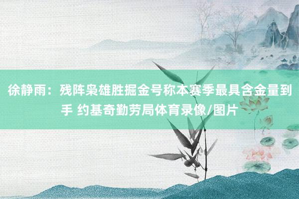 徐静雨：残阵枭雄胜掘金号称本赛季最具含金量到手 约基奇勤劳局体育录像/图片