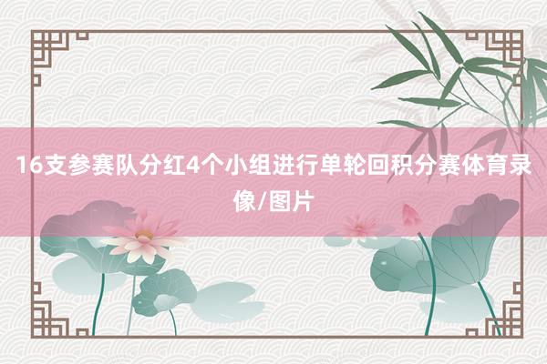 16支参赛队分红4个小组进行单轮回积分赛体育录像/图片