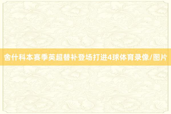 舍什科本赛季英超替补登场打进4球体育录像/图片