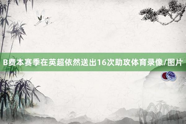 B费本赛季在英超依然送出16次助攻体育录像/图片