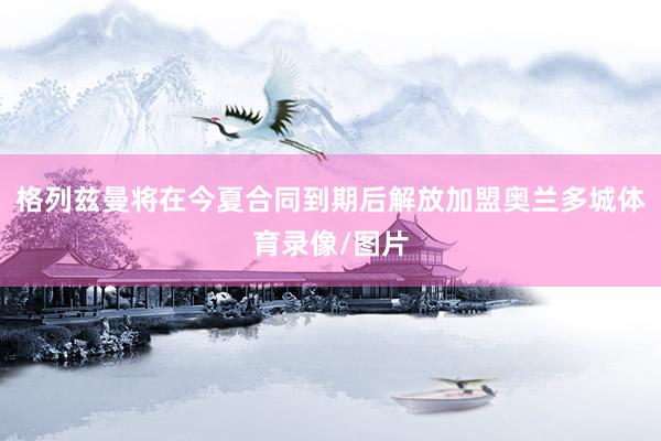格列兹曼将在今夏合同到期后解放加盟奥兰多城体育录像/图片