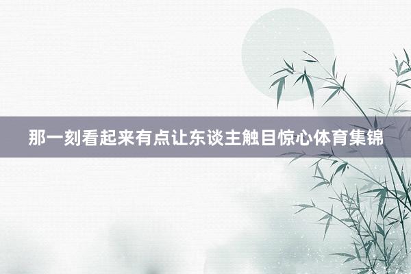那一刻看起来有点让东谈主触目惊心体育集锦