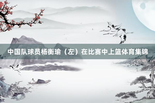 中国队球员杨衡瑜（左）在比赛中上篮体育集锦