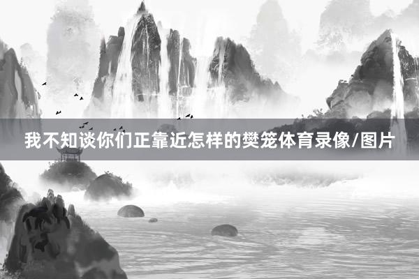 我不知谈你们正靠近怎样的樊笼体育录像/图片